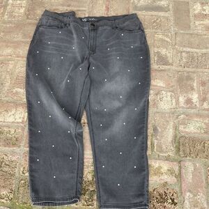 DG by Diane Gilman Grey With Pearl Embellishment Straight Leg Plus Size 24